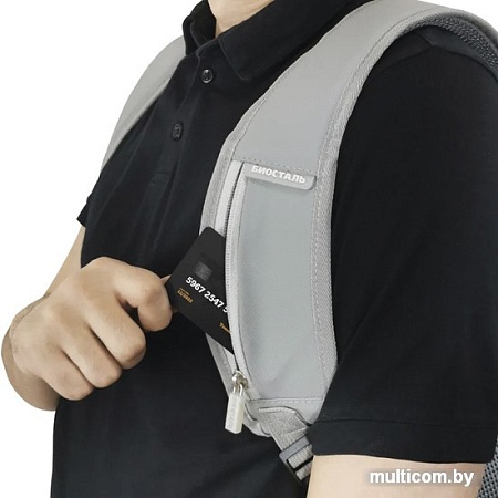 Терморюкзак BIOSTAL Сити TRP-25D 25л (серый)