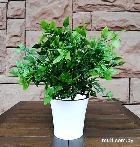 Искусственное растение Forgarden Традесканция в белом горшке BN10600 30 см