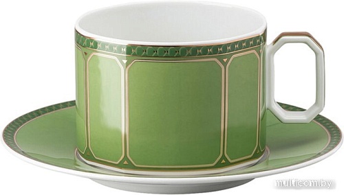 Чашка с блюдцем Rosenthal Signum Fern 10570-426349-14770