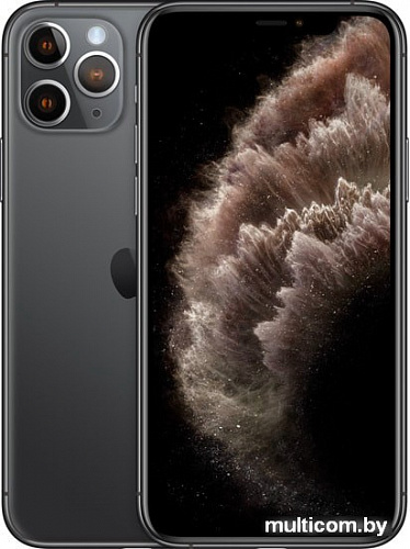 Смартфон Apple iPhone 11 Pro Max 256GB Dual SIM (серый космос)