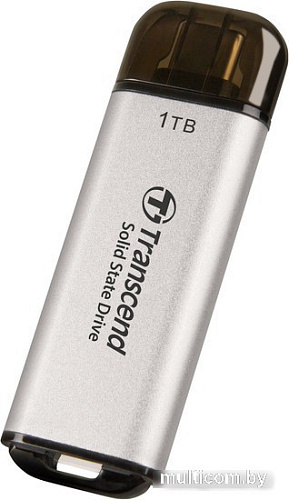 Внешний накопитель Transcend ESD300 1TB TS1TESD300S