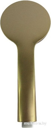 Душевая лейка Ledeme LD003Y (золотой сатин)