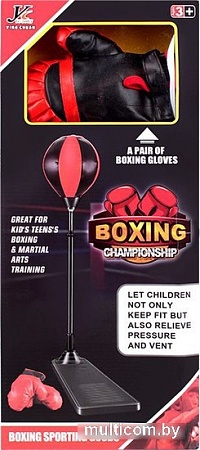 Детский набор для бокса Darvish SR-T-3294