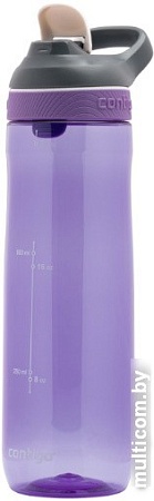 Бутылка для воды Contigo Cortland 2106517 (сиреневый)