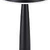 Настольная лампа Kinklight Снорк 07064-B,19