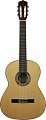 Акустическая гитара Kremona Rosa Morena