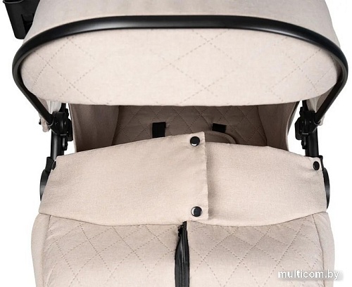 Коляска прогулочная «книга» Costa Vita VT-2 (капучино)
