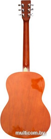 Акустическая гитара Homage LF-3910
