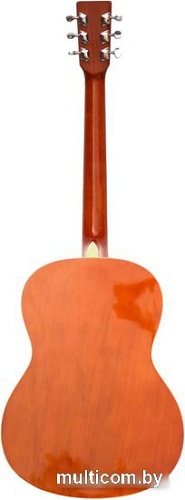 Акустическая гитара Homage LF-3910