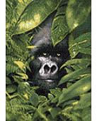 Алмазная мозаика Wizardi В засаде 2WD2407