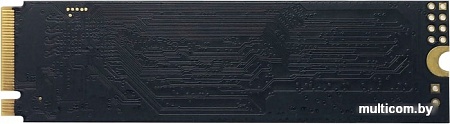 SSD Patriot P300 2TB P300P2TBM28