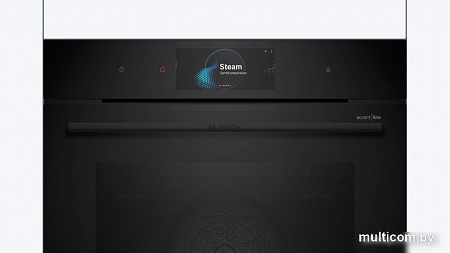 Электрический духовой шкаф Bosch Serie 8 HRG978NB1