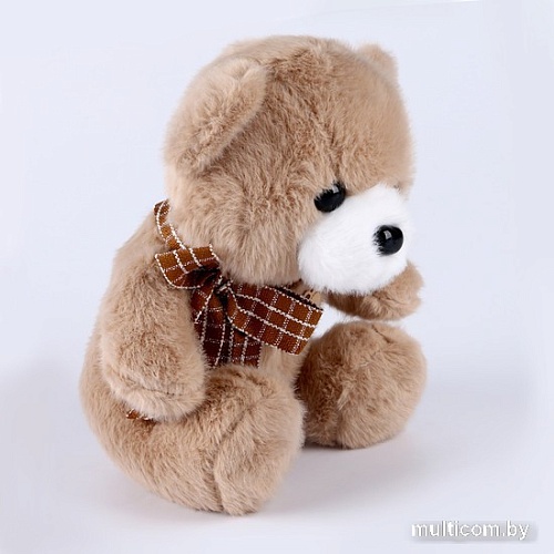 Классическая игрушка Sima-Land Мишутка 9939229 (коричневый)