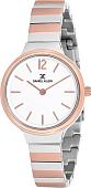 Наручные часы Daniel Klein DK12062-3
