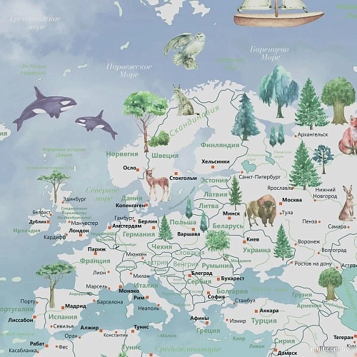 Фотообои Citydecor Детская Карта мира 357 400x260