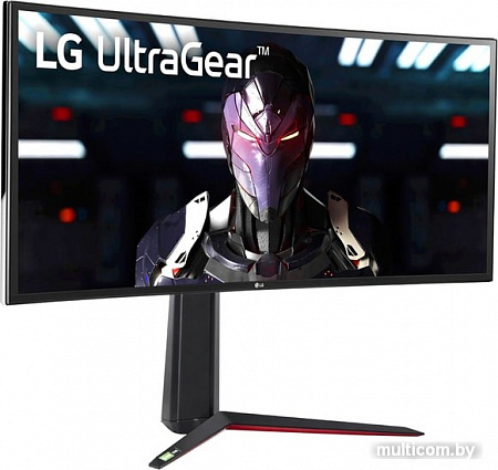 Монитор LG 34GN850-B