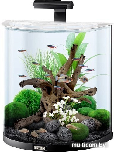 Аквариумный набор Tetra AquaArt LED Explorer Line 60 л (черный)