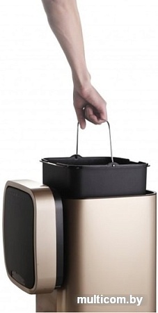 Мусорное ведро WeltWasser Rone CG 35L