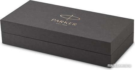 Ручка перьевая Parker 51 Core Black CT 2123491