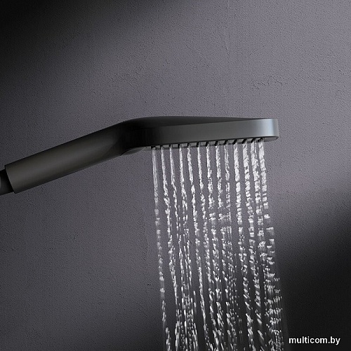 Душевая лейка AM.PM Func F028F022