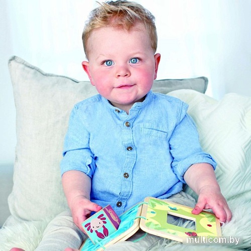 Развивающая игрушка Hape Пастель 2 в 1 E8523_HP