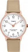 Наручные часы Timex TW2T27000