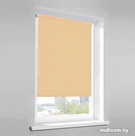 Рулонные шторы Lm Decor Лайт LM 30-10С 220x185