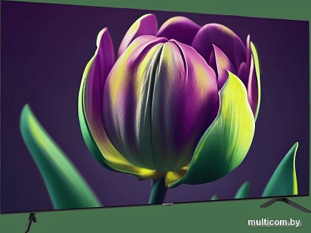 Телевизор Topdevice TDTV75CS06UBK