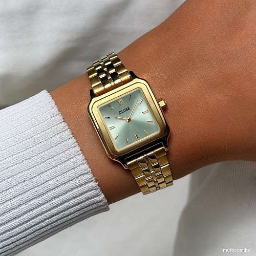 Наручные часы Cluse CW11818