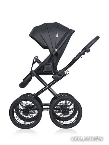 Универсальная коляска Riko Montana Ecco Prestige (2 в 1, 12/черный)