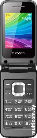 Мобильный телефон TeXet TM-204 (серый)
