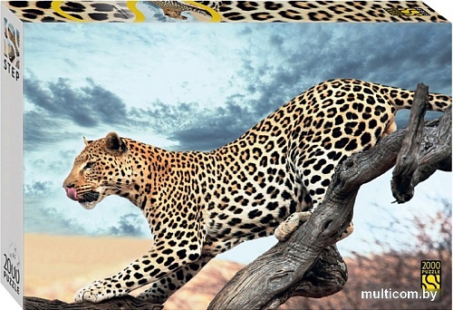 Пазл Step Puzzle Леопард в дикой природе 84053 (2000 эл)