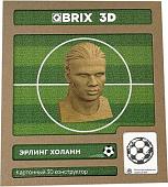 Конструктор QBRIX Эрлинг Холанн 3D 20055