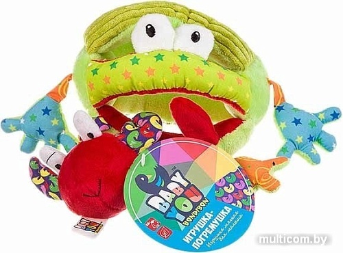 Развивающая игрушка Bondibon Baby You Лягушка ВВ2897