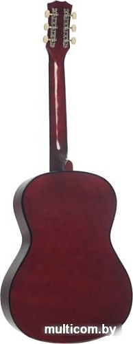 Акустическая гитара Terris TF-3802A NA