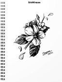 Общая тетрадь Erich Krause Blossom Black and White 80 л клетка 54118