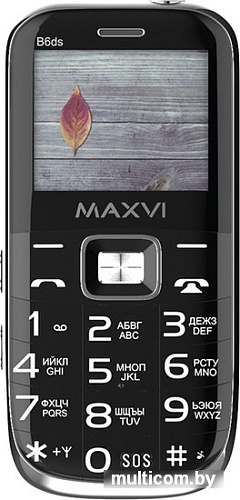 Кнопочный телефон Maxvi B6ds (черный)