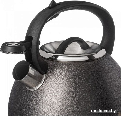 Чайник со свистком Agness Teekessel 907-253