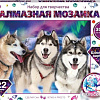 MultiArt Хаски AM30X40-HASKI