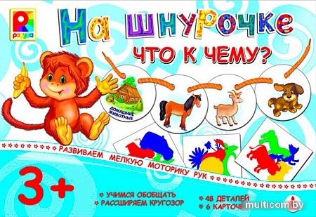 Развивающая игра Радуга На шнурочке. Что к чему? С-944
