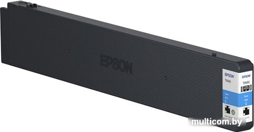 Картридж Epson C13T858200