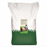 Семена трав, газон фото