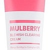A'Pieu Крем Mulberry Blemish Clearing Cream для проблемной кожи 50 мл
