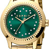 Наручные часы Esprit ES1L351M0095