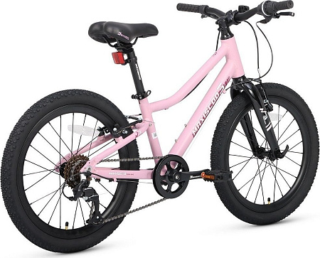 Детский велосипед Maxiscoo 3bike 20 L 2025 MSC-M3-2004 (розовый матовый, разобранный)