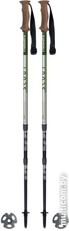 Треккинговые палки Masters Scout Green 01S5119