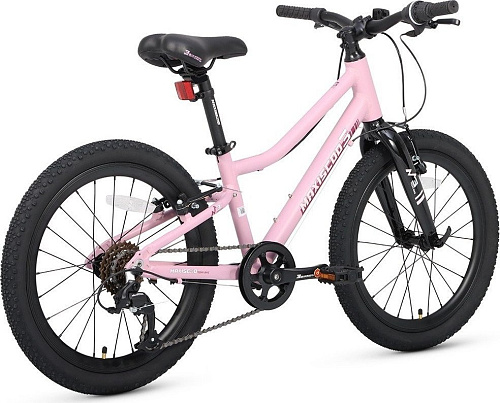 Детский велосипед Maxiscoo 3bike 20 L 2025 MSC-M3-2004 (розовый матовый, разобранный)