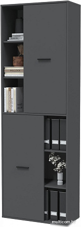 Шкаф распашной Интерлиния Skill-22 (2) (антрацит/антрацит)