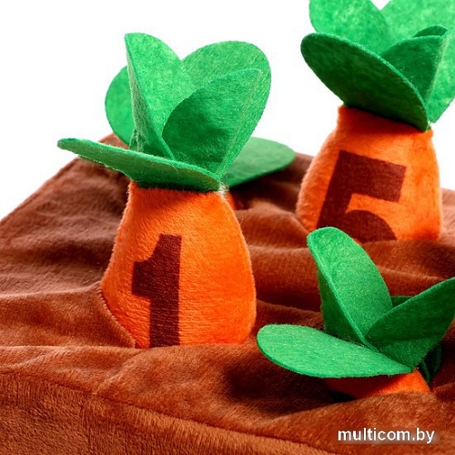 Сортер Zabiaka IQ Морковки 9905013