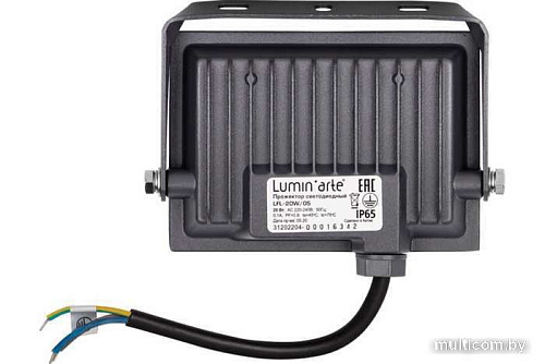 Уличный прожектор Luminarte LFL-20W/05